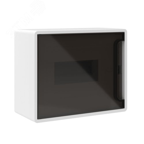 Щиток 8 мод настенный FRAME ЩРн-П-8, белый, с тонированной дверцей, с 2 шинами PEN на 6 и 8 отв. F08W1WD DKC