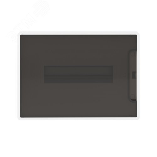 Щиток 12 мод встраиваемый FRAME ЩРв-П-12, белый, с тонированной дверцей, с 2  шинами PEN на 6 и 8 отв. F12B1WD DKC