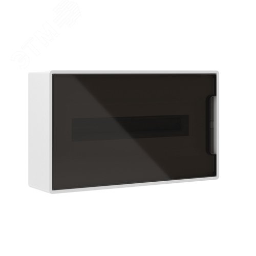 Щиток 18 мод настенный FRAME ЩРн-П-18, белый, с тонированной дверцей, с 2 шинами  PEN на 8 и 10 отв. F18W1WD DKC