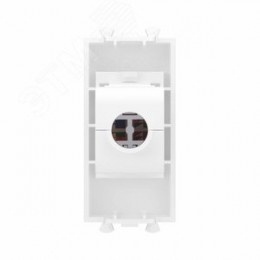 Avanti Розетка компьютерная RJ-45 без шторки      модульная кат.6 Белое облако 1 модуль