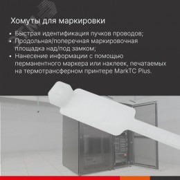 Хомут P6.6 маркировочный, белый 2,5x100, горизонтальная табличка под замком 24,5x7,8