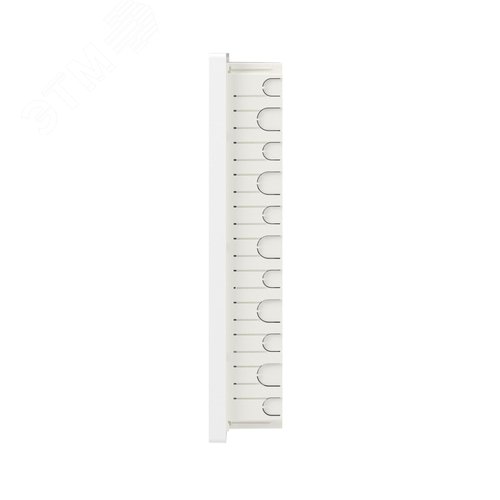 Щиток 36 мод встраиваемый FRAME ЩРв-П-36, белый, с белой дверцей, с 4  шинами PEN (2шт на 8 отв. и 2шт на 10 отв.) F36B1WW DKC