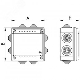 Коробка пластиковая FS с кабельными вводами и клеммниками, IP56,100х100х50мм, 5р, 450V,20A,10мм.кв