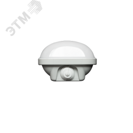 Светильник светодиодный ДСП-38w 5000лм 4000К milky IP65 SLIM