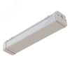 Светильник светодиодный ДСП-38w 4400лм 5000К milky IP67 SLIM TUBE