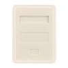 Розетка компьютерная 1 порт RJ-45 (8P8C) cat 5e внешняя,