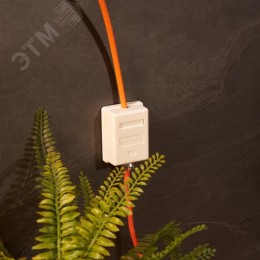 Розетка компьютерная 1 порт RJ-45 (8P8C) cat 5e внешняя,