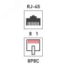 Розетка компьютерная 1 порт RJ-45 (8P8C) cat 5e внешняя,