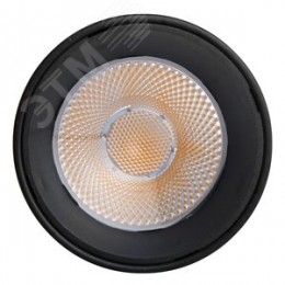 Светильник светодиодный на шинопровод ДПО- 8Вт 4000K 24 град (чёрный) IP40