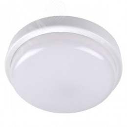 Светильник светодиодный влагозащищенный ДБП-8Вт 6500К 600 Лм IP65