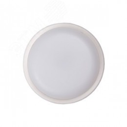 Светильник светодиодный пылевлагозащищенный для ЖКХ ДБП-12W 4000K 960 Лм круглый IP65