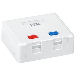 ITK Корпус настенной розетки для установки двух модулей Keystone Jack белый