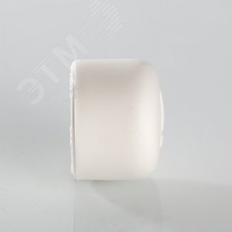 Заглушка 20 полипропиленовая PPR белая