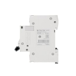 Выключатель автоматический двухполюсный 63А С 4.5kA 230В City9 Set