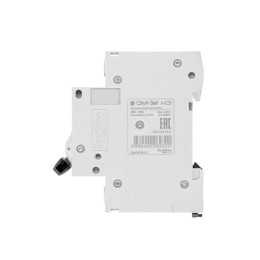 Выключатель автоматический двухполюсный 40А С 4.5kA 230В City9 Set