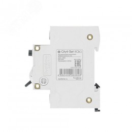 Выключатель автоматический дифференциального тока (Автоматический выключатель дифференциального тока АВДТ) 1P+N С 10А 4.5kA 30мА Тип-A 230В City9 Set