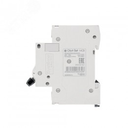 Выключатель автоматический двухполюсный 50А С 4.5kA 230В City9 Set