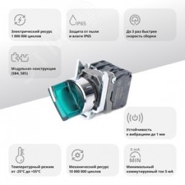 Переключатель SB4 с подсвет в сборе 22мм 2поз зел сфикс металл 24В DC 1НО+1НЗ