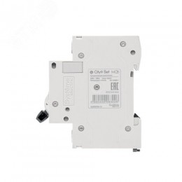 Выключатель автоматический двухполюсный 40А B 4.5kA 230В City9 Set