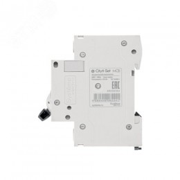 Выключатель автоматический двухполюсный 20А С 4.5kA 230В City9 Set