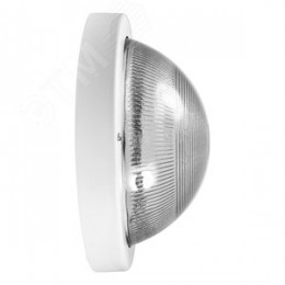 Светильник НПП-03-100-001 IP65 (Селена 1)