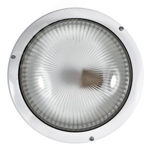 Светильник НПП-03-100-002 (Селена 2)