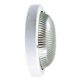 Светильник НПП-03-100-002 (Селена 2)