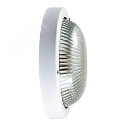 Светильник НПП-03-100-002 (Селена 2)