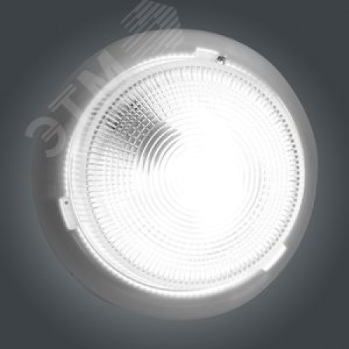 Светильник НБО-23-60-001 (Раунд малый) IP44