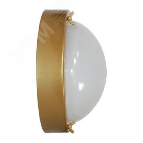 Светильник НББ-03-60-003 Терма 3 IP65 золото