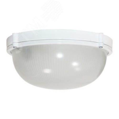 Светильник НПП-03-100-009 IP65 Банник 1101 Круг большой матовый/корпус белый