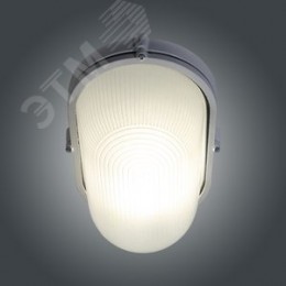 Светильник НПП-03-100-017 IP65 Банник 1201 Овал большой матовый/корпус белый