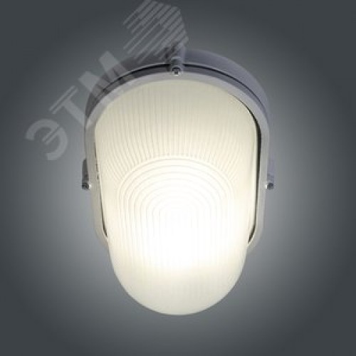 Светильник НПП-03-100-017 IP65 Банник 1201 Овал большой матовый/корпус белый