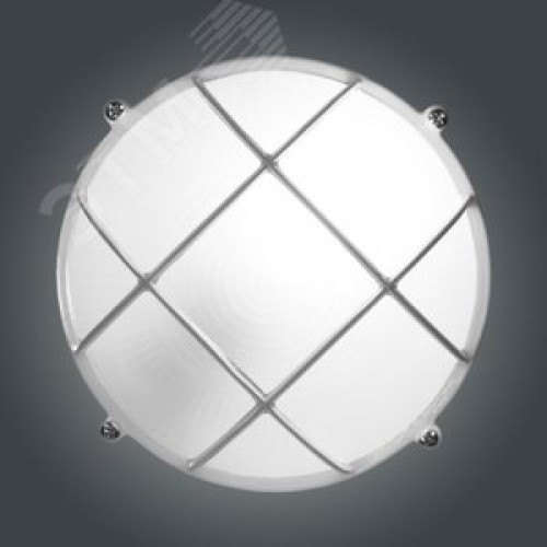 Светильник НПП-03-60-014 IP65 Банник 1302 Круг малый матовый/корпус с решеткой белый