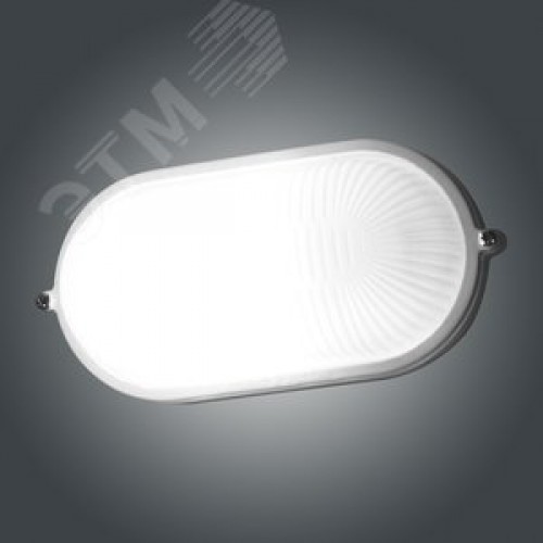 Светильник НПП-03-60-021 IP65 Банник 1401 Овал малый матовый/корпус белый