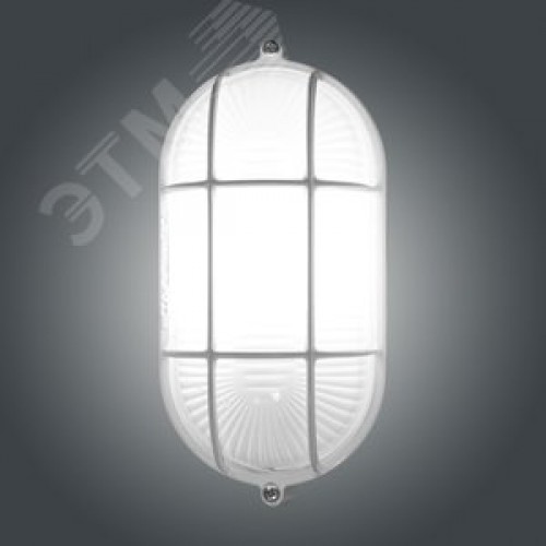 Светильник НПП-03-60-022 IP65 Банник 1402 Овал малый матовый/корпус с решеткой белый
