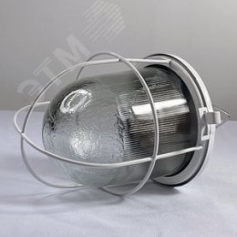 Светильник НСП 02-100-002 IP52 Желудь А корпус с/рбелый