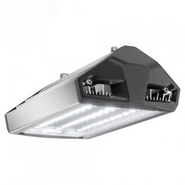 Светильник уличный ЕСАУЛ ДКУ-50 750 ШБ