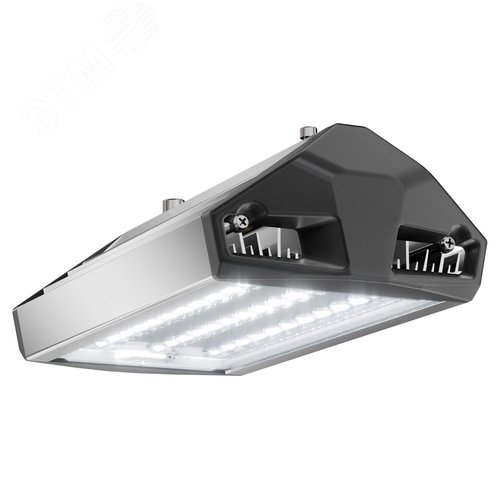 Светильник уличный ЕСАУЛ ДКУ-50 750 ШБ