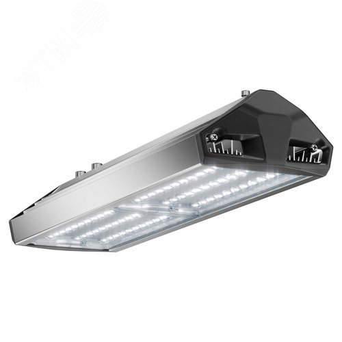 Светильник уличный ЕСАУЛ ДКУ-100 750 ШБ