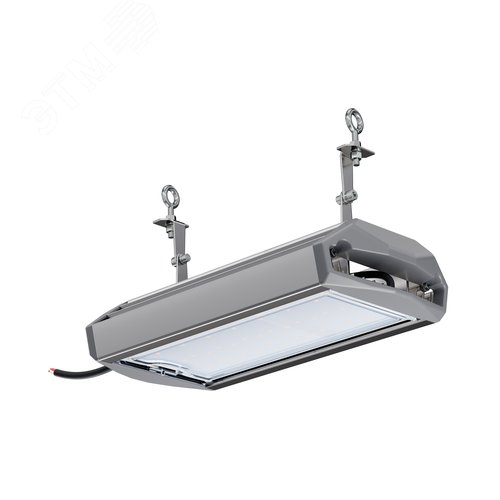 Светильник промышленный ЕСАУЛ ДСП-50 750 Д