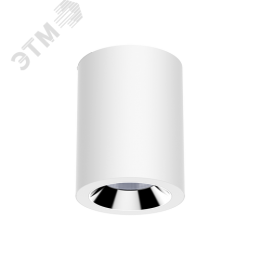 Светильник LED DL-02 Tube накл 55W 4000K 35° 220*150мм EM внешний БАП