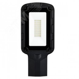 Светильник светодиодный уличный ДКУ-30вт 5000К IP65