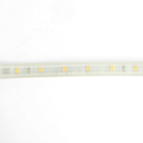 Лента светодиодная 6Вт/м 220В 6500К IP65 60LED/м SST20