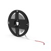 Лента светодиодная 6 Вт/м DC 24В 6500К IP20 60LED SMD2835 800 лм/м Black Gauss