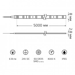 Лента светодиодная 6 Вт/м DC 24В 4000К IP65 60LED SMD2835 800 лм/м Black Gauss