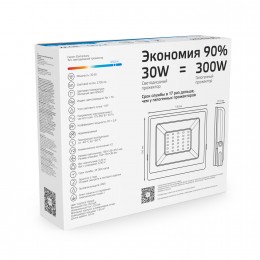 Прожектор светодиодный ДО 30 Вт 2700 Лм 6500К AC 220В IP65 126х136х126мм Elementary G2