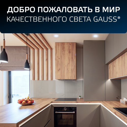 Светильник светодиодный ДВО 13 Вт 1000 лм 4000К AC 220В IP20 круг D145х26мм монт d120мм Пластик Elementary Gauss