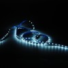 Лента светодиодная 4.8 Вт/м DC 12В 4000К IP20 60LED SMD2835 (блистер 5м) 312 лм/м Basic