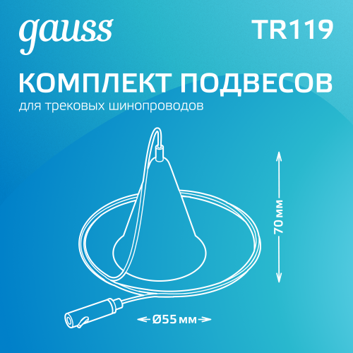 Комплект подвесов для трековых шинопроводов Черный 1шт Track